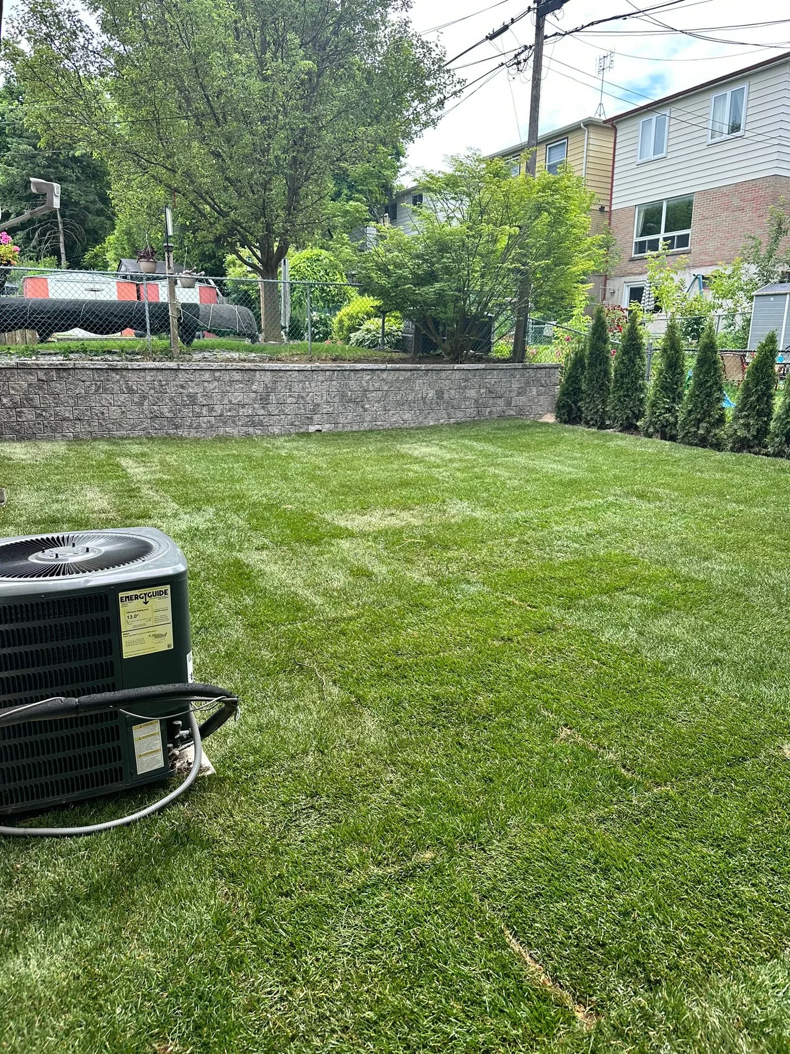 Completed backyard renovation