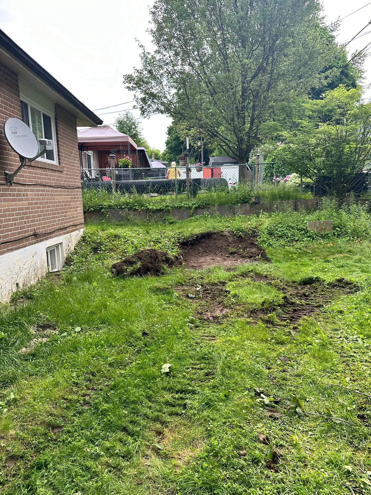 Backyard before landscaping.